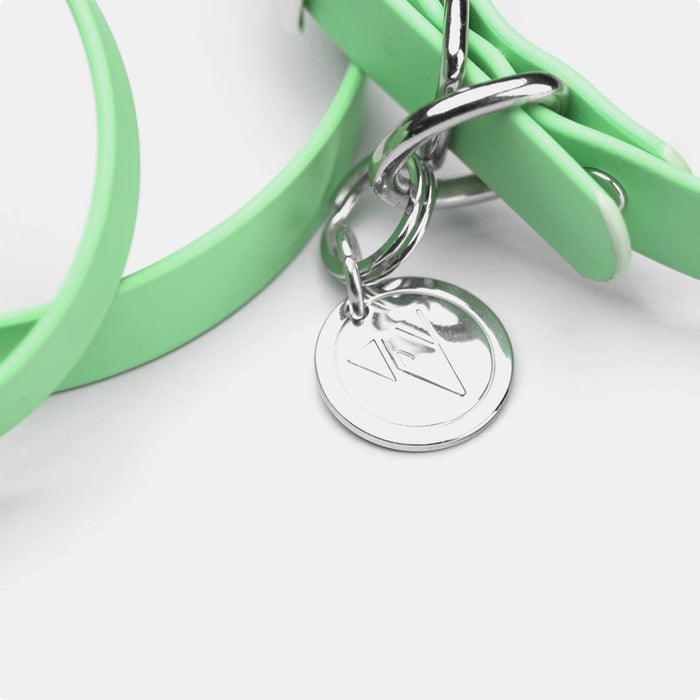 Pistachio | Silver | S