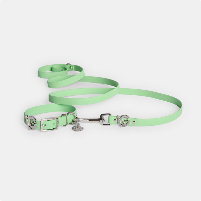 Pistachio | Silver | S