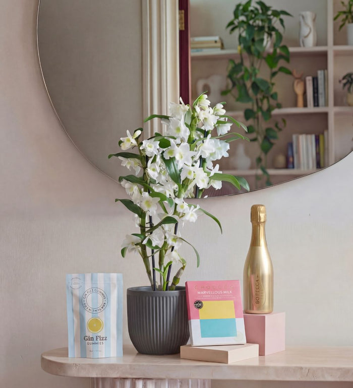 Plant Mum Bundle