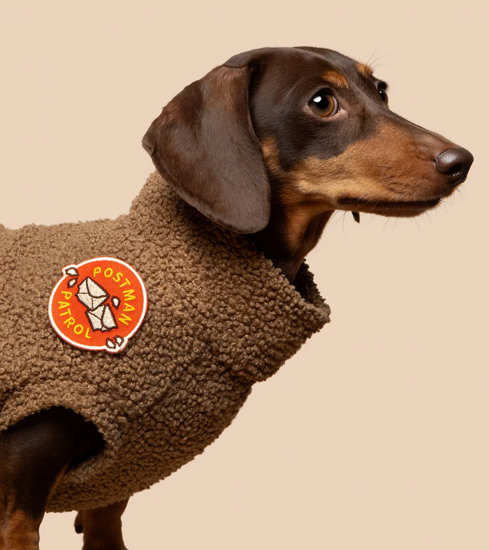 Postman Patrol Badge