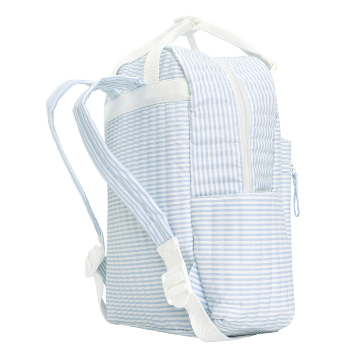 powder blue stripe backpack