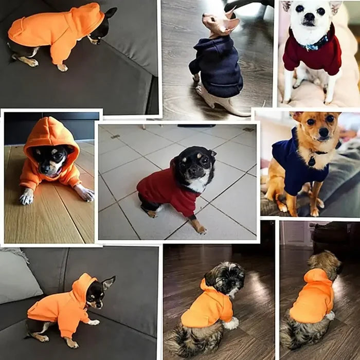 Puppy Pet Hooded Sweatshirt Autumn Winter Two-legged Pocket Cat Dog Clothes Happy Tails Pet Shop Store