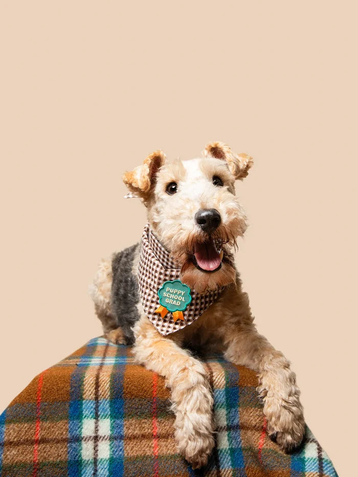 Puppy School Grad Badge