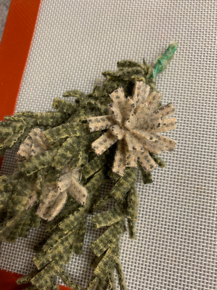 Quicker Quillies Tool