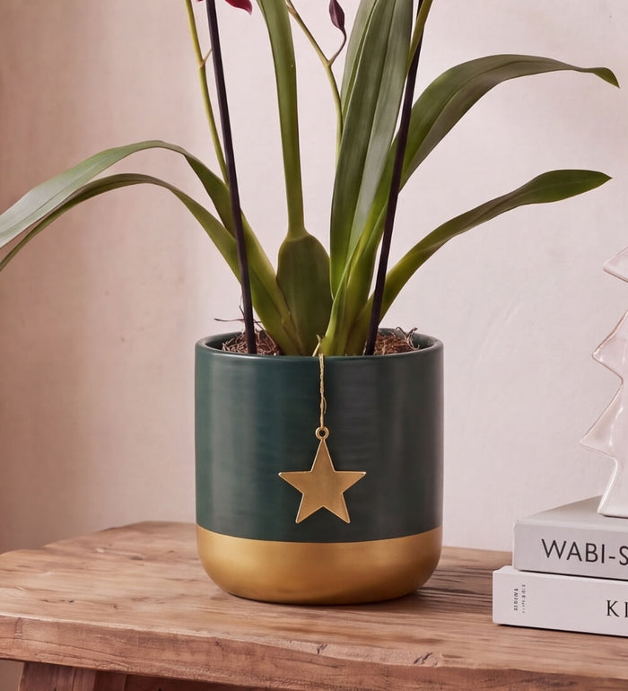 Red Orchid & Green Pot