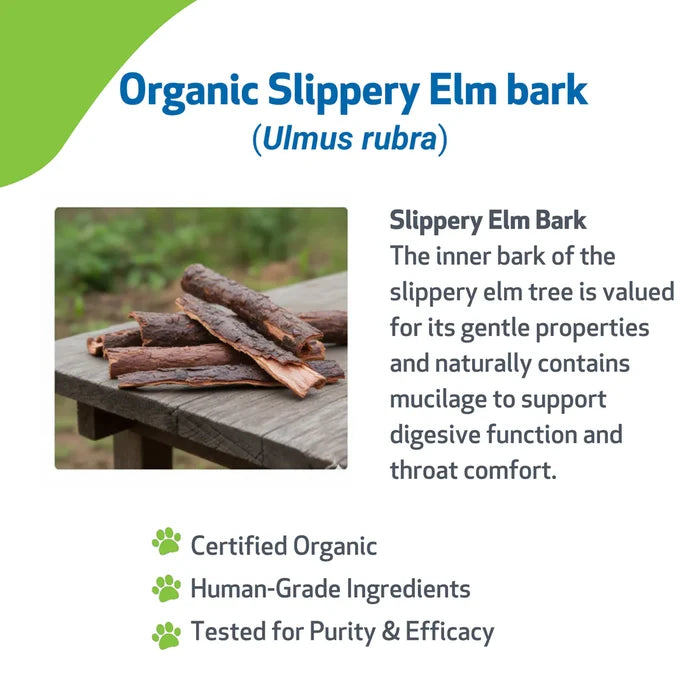 Slippery Elm - for Healthy Digestive Tract and Throat Tissue in Dogs