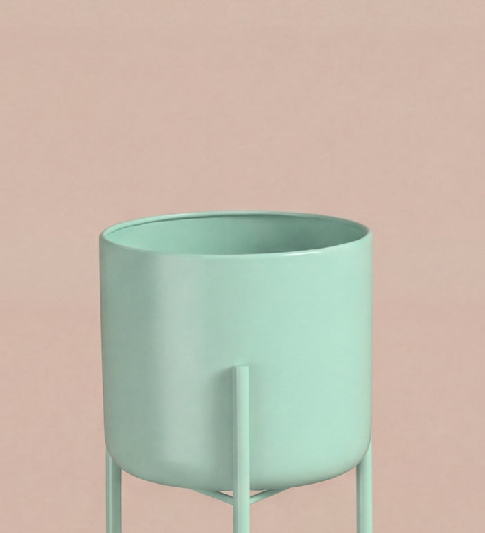 Small mint pot on stand
