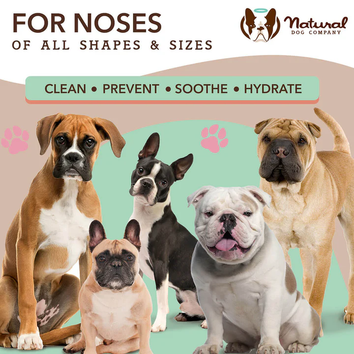 Snout  Wipes