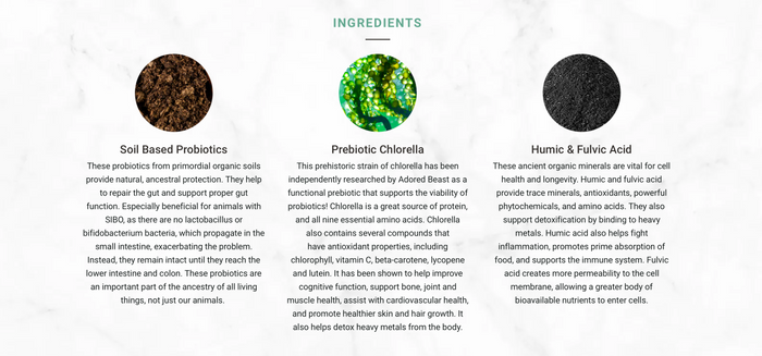 Soil & Sea | Primordial Pre & Probiotics