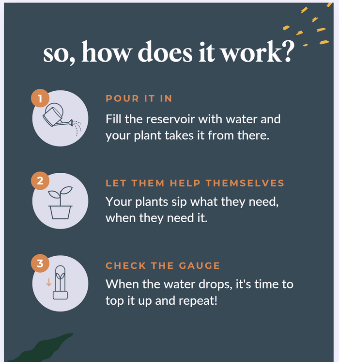 How self-watering pots work: pour it in, let them help themselves, check the gauge