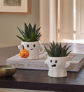 Succulents in Ceramic Ghosts