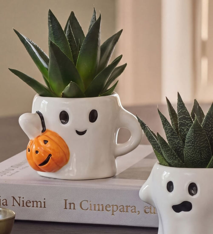 Succulents in Ceramic Ghosts