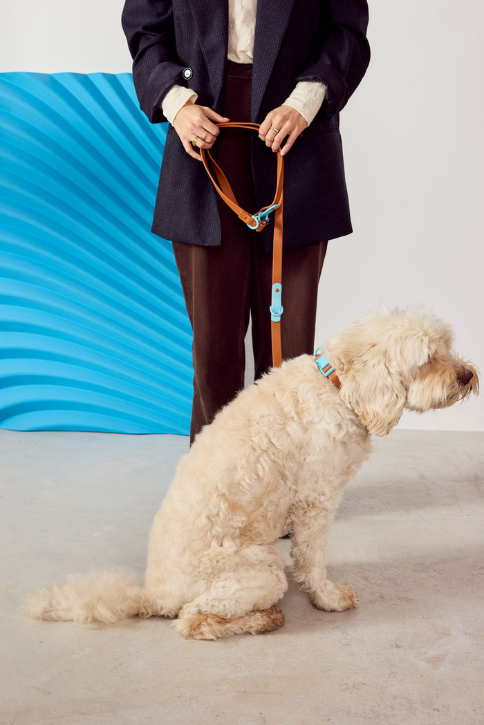 The Fritz Collar - Choco Blue