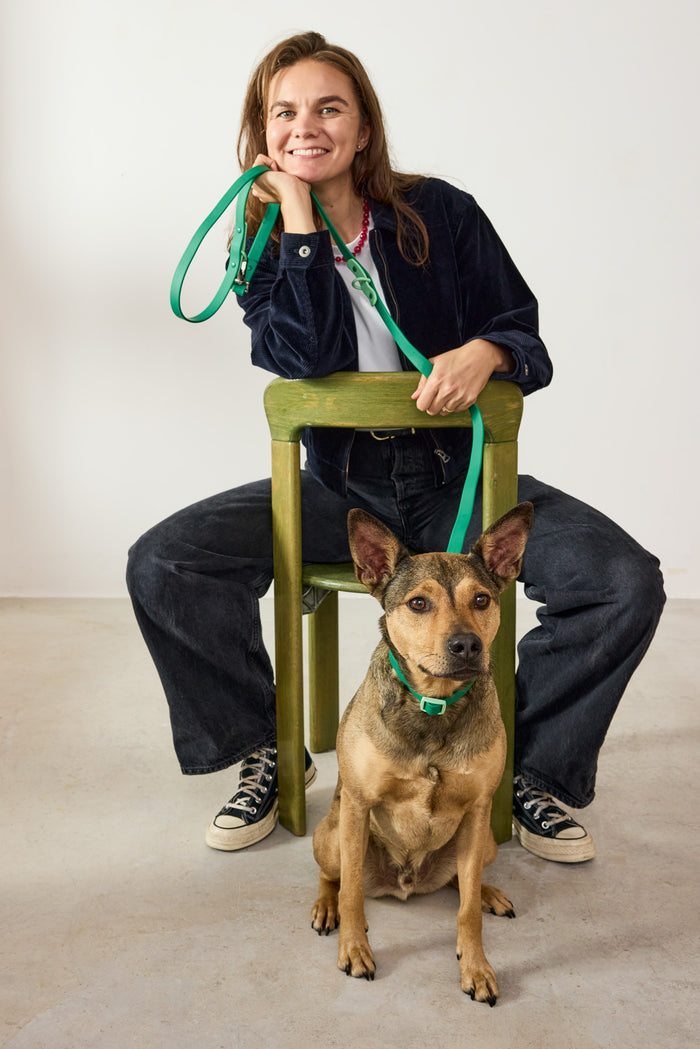 The Fritz Collar - Liberty Green