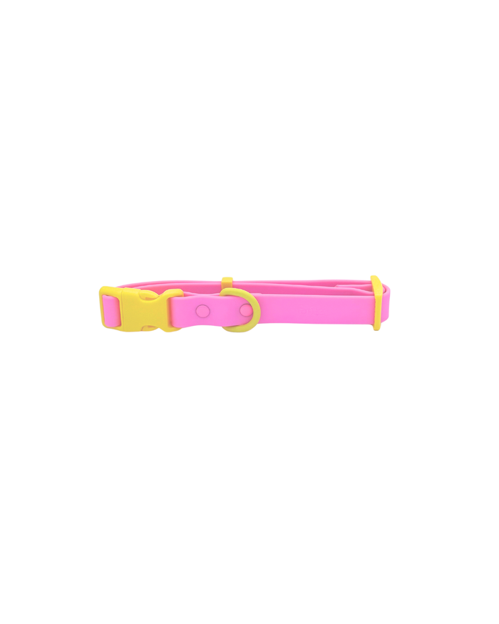 The Fritz Collar - Pink Lemonade