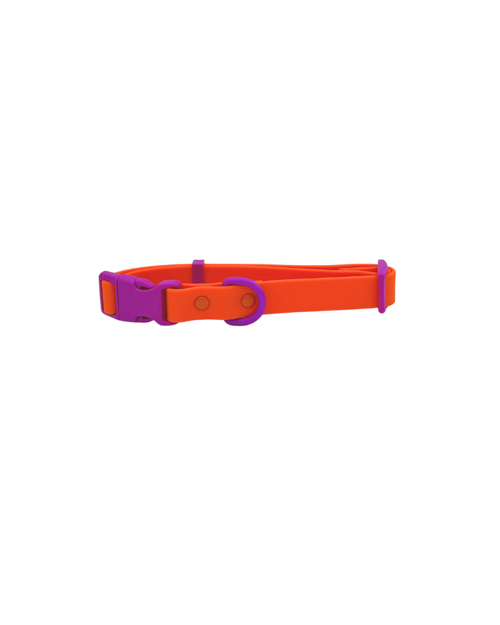 The Fritz Collar - Sunset Violet