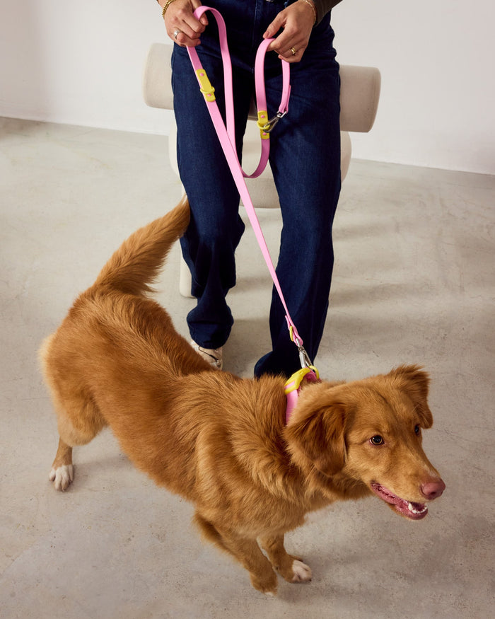 Person holding a pink leash with a dog on a concrete floor.