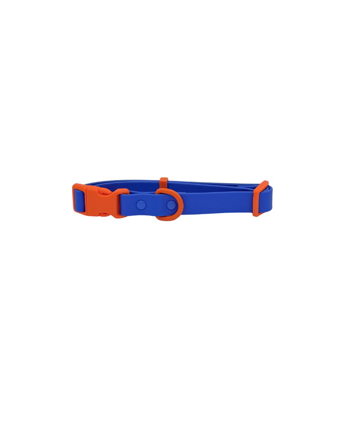 Blue Orange / Small