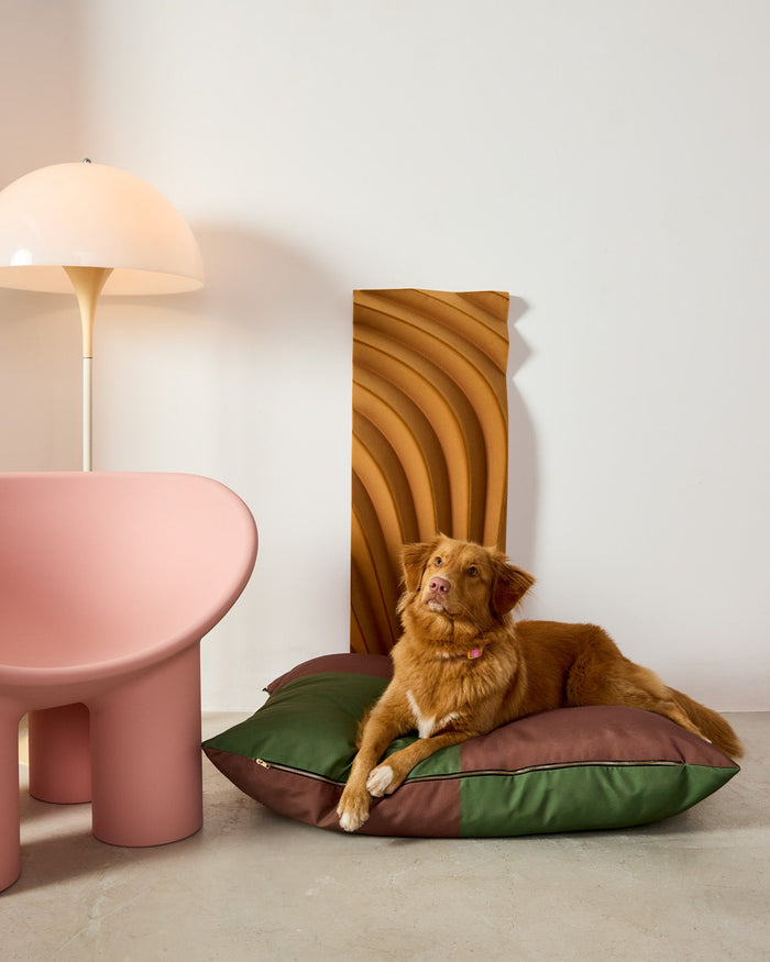 Dog lying on a green and brown cushion in a room with a pink table and abstract wall art.