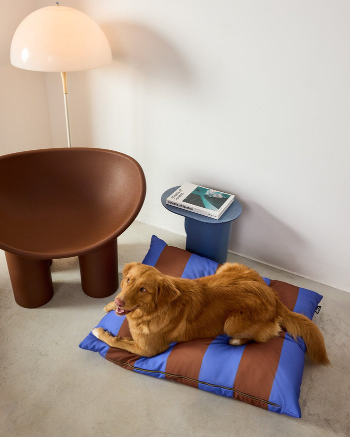 Dog lying on a striped dog bed in a room with a brown chair and lamp.