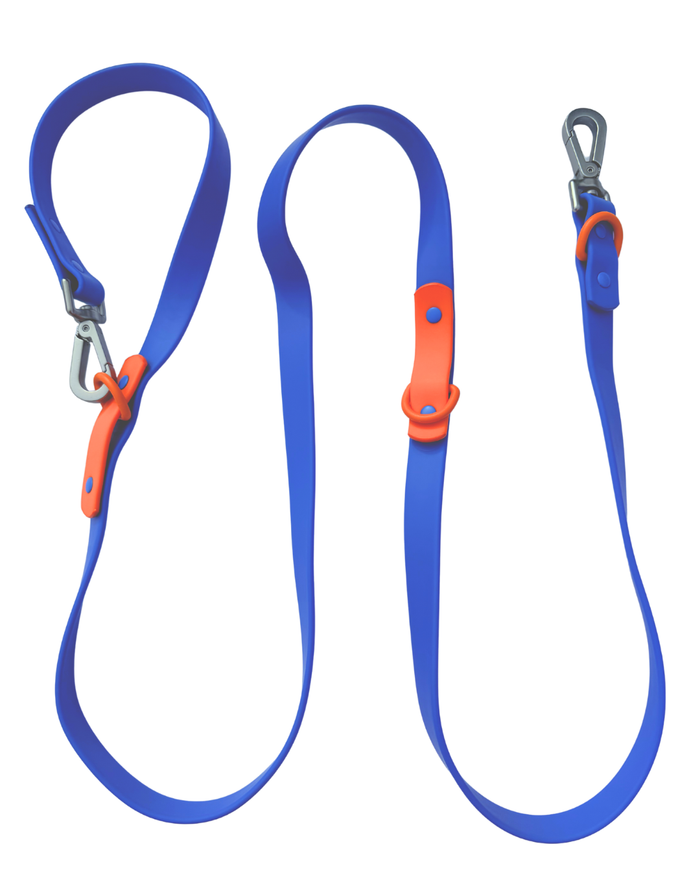 The Fritz Leash - Blue Orange