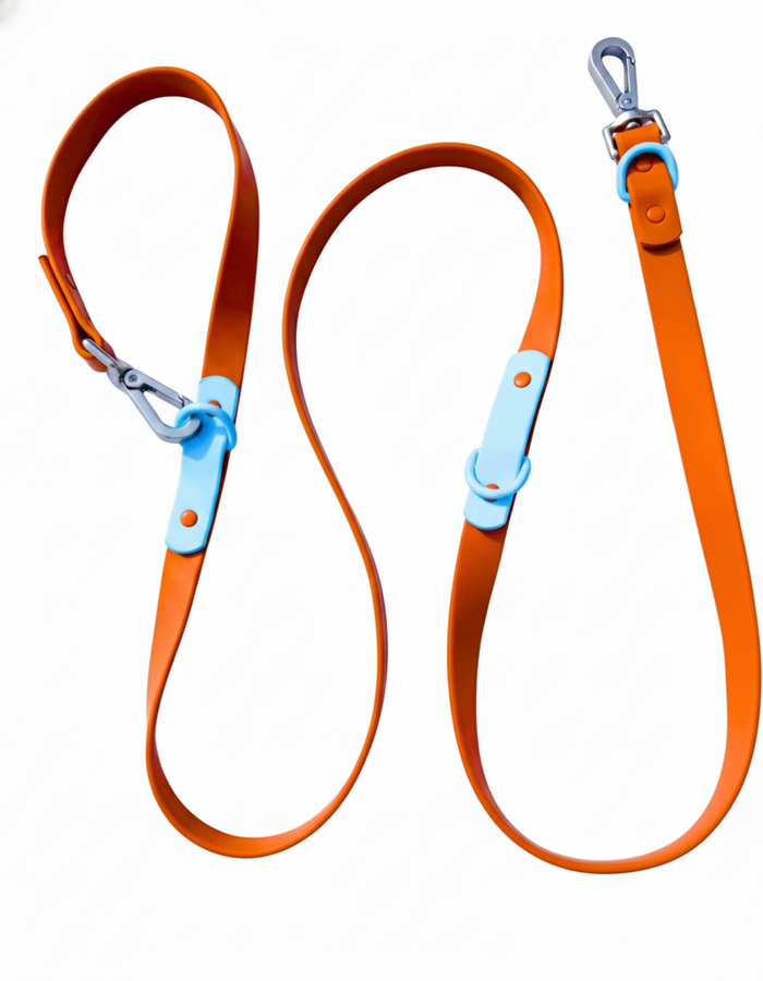 Choco Blue / Small