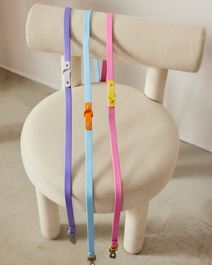 Colorful dog leashes on a white stool with a neutral background