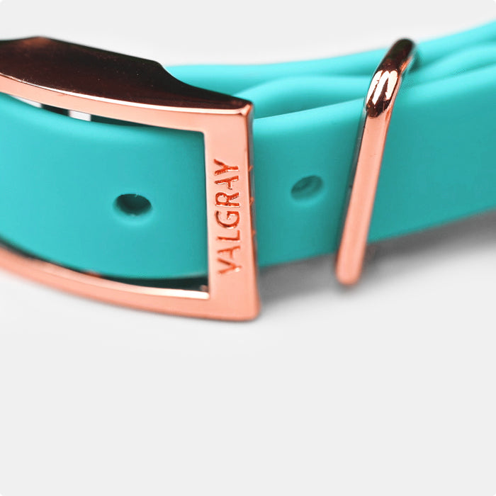Valgray Premium Turquoise Dog Collar - Close Up Rose Gold Colour Plated Hardware