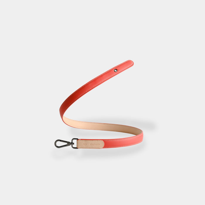 Two Elephants Leash Leather - Part B