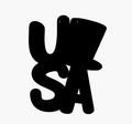 USA Top Hat 1