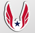 USATF Velcro Patch - Wings