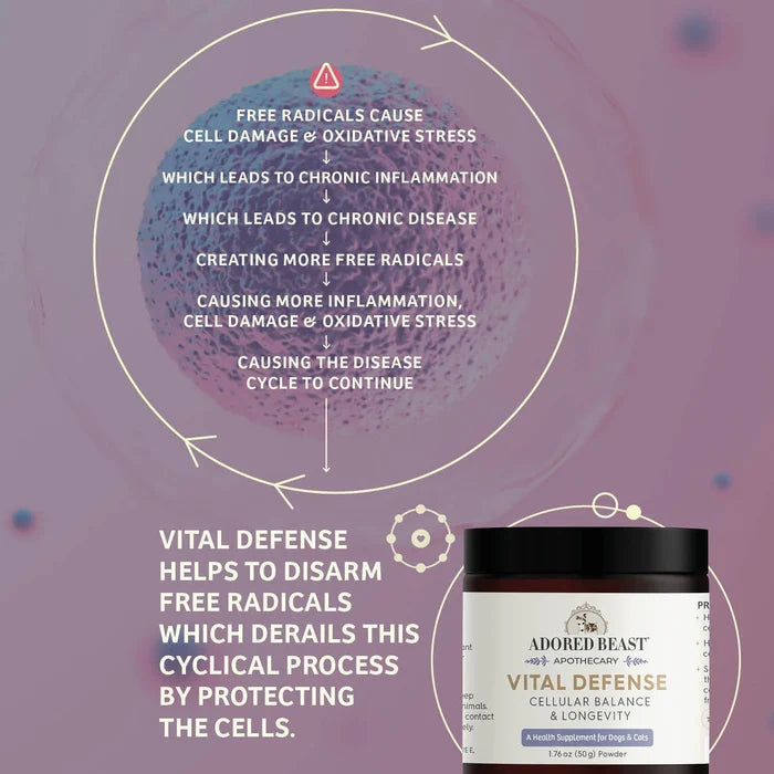 Vital Defense | Cellular Support
