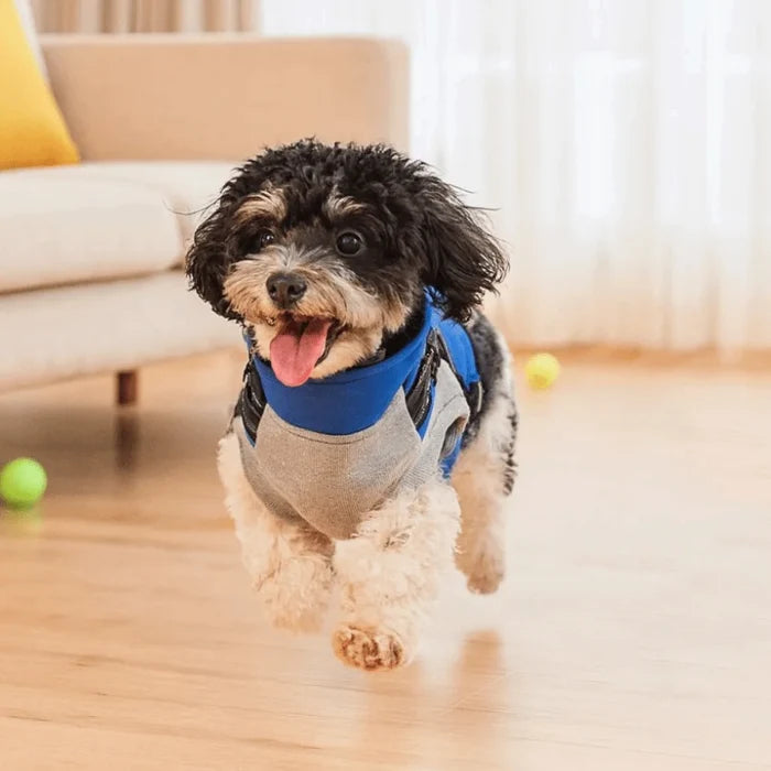 Waterproof Adjustable Dogs Down Clothes Warm Windproof Dog Coat with Harness Soft Dog Jacket for Dogs Cats Happy Tails Pet Shop Store