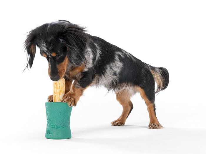 West Paw Toy - Funnl