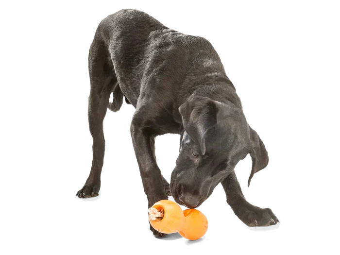 West Paw Toy - Qwizl