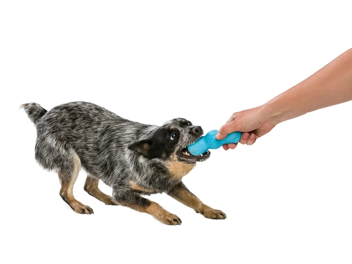 West Paw Toy - Rumpus