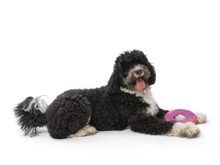 West Paw Toy - Sailz