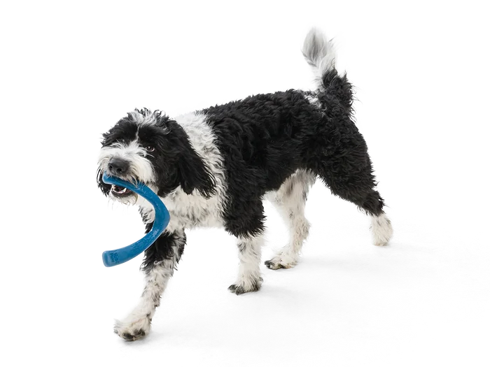 West Paw Toy - Snorkl