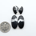 White Buffalo stone cabochons, white stone with black matrix, polished stones on a white background, with a US dime for scale