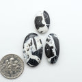 White Buffalo stone cabochons, white stone with black matrix, polished stones on a white background, with a US dime for scale