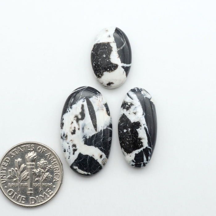 White Buffalo stone cabochons, white stone with black matrix, polished stones on a white background, with a US dime for scale
