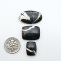 White Buffalo stone cabochons, white stone with black matrix, polished stones on a white background, with a US dime for scale