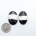 White Buffalo stone cabochons, white stone with black matrix, polished stones on a white background, with a US dime for scale