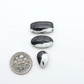 White Buffalo stone cabochons, white stone with black matrix, polished stones on a white background, with a US dime for scale