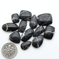 White Buffalo stone cabochons, white stone with black matrix, polished stones on a white background, with a US dime for scale