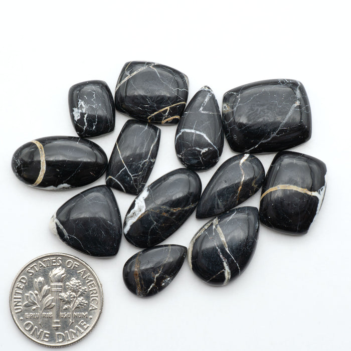 White Buffalo stone cabochons, white stone with black matrix, polished stones on a white background, with a US dime for scale