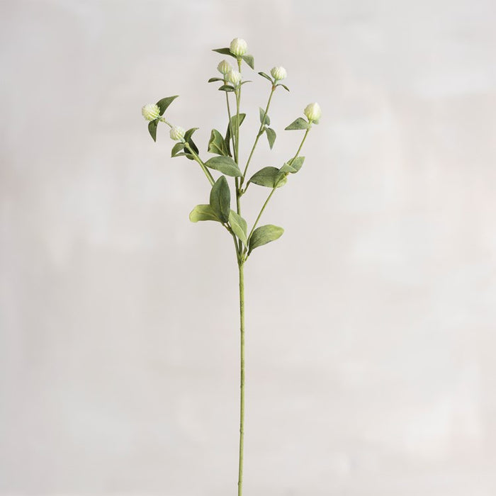 White Thistle Pick
