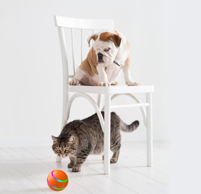WickedRoll The Self-Playing Cat Ball That Entertains Itself