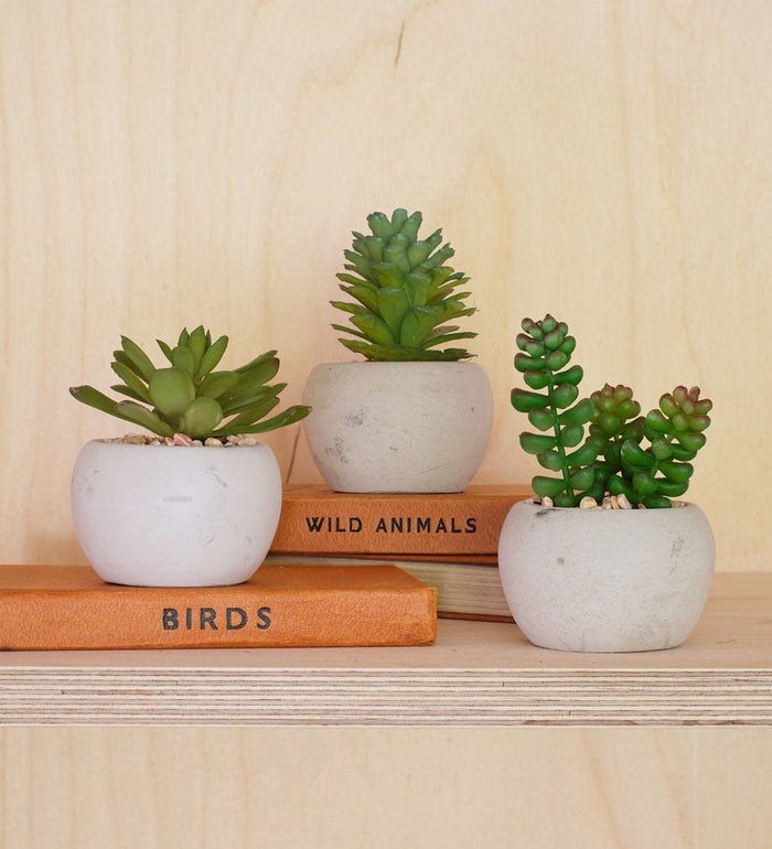 x3 Artificial Mini Succulents & Pots