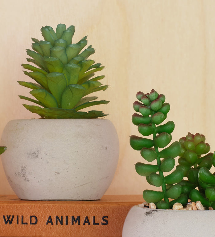 x3 Artificial Mini Succulents & Pots